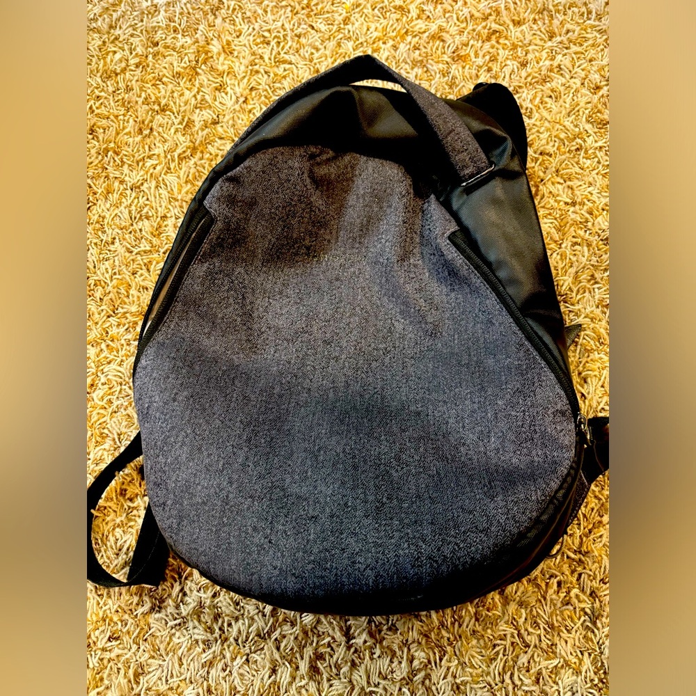 Sherpani travel safe back pack.